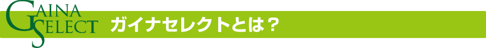 ガイナセレクトとは?