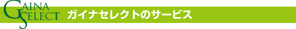 ガイナセレクトのサービス