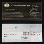 ガイナ施工完了証
